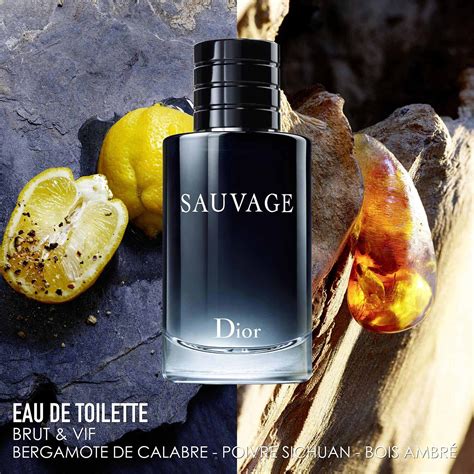 dior sauvage 100 ml - eau de toilette|dior sauvage for men superdrug.